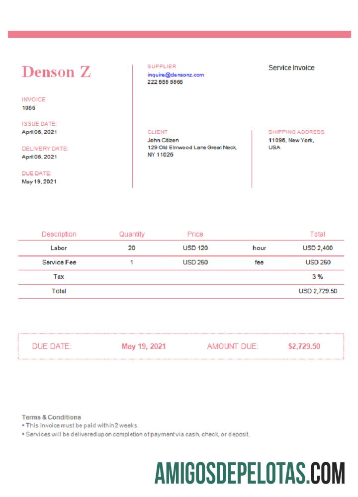 Fatura Denson Z dos EUA exemplo